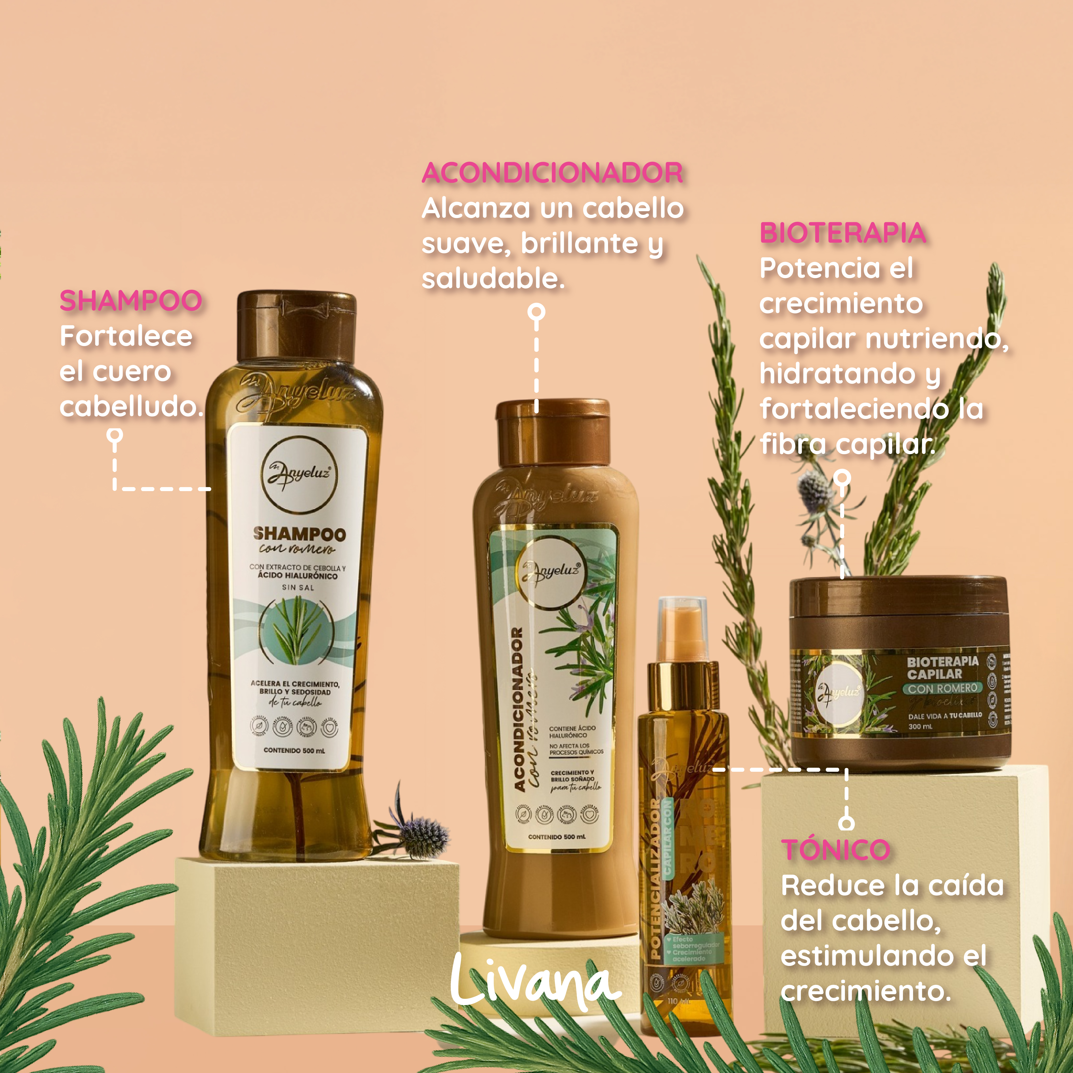 Miniatura 2 de Kit Romero Anyeluz